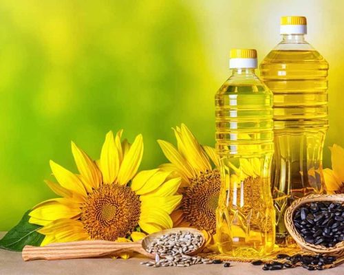 WhatsApp Image 2022-12-29 at 3.06.42 PM