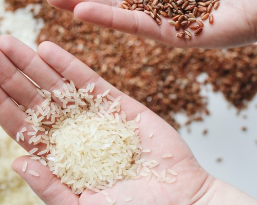 pexels-polina-tankilevitch-4110256