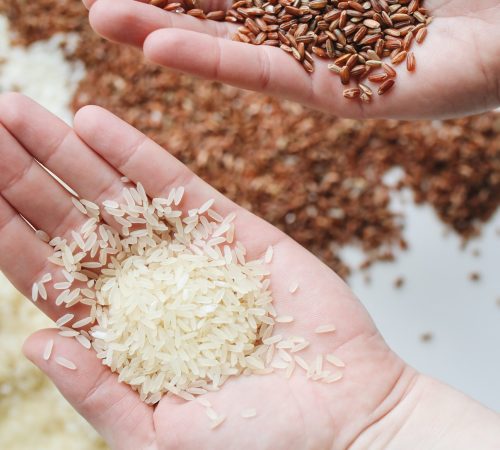 pexels-polina-tankilevitch-4110256